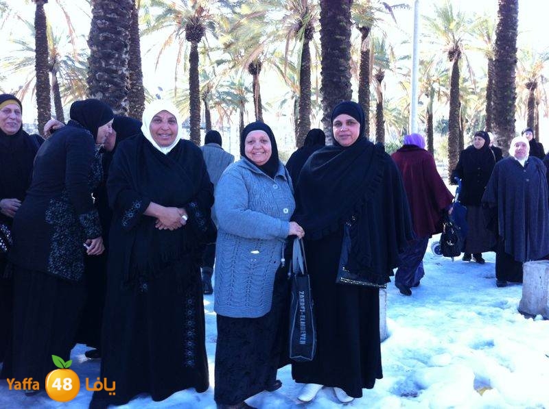 yaffa byareq (8).jpg